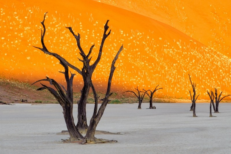 natural phenomena that are breathtaking 10