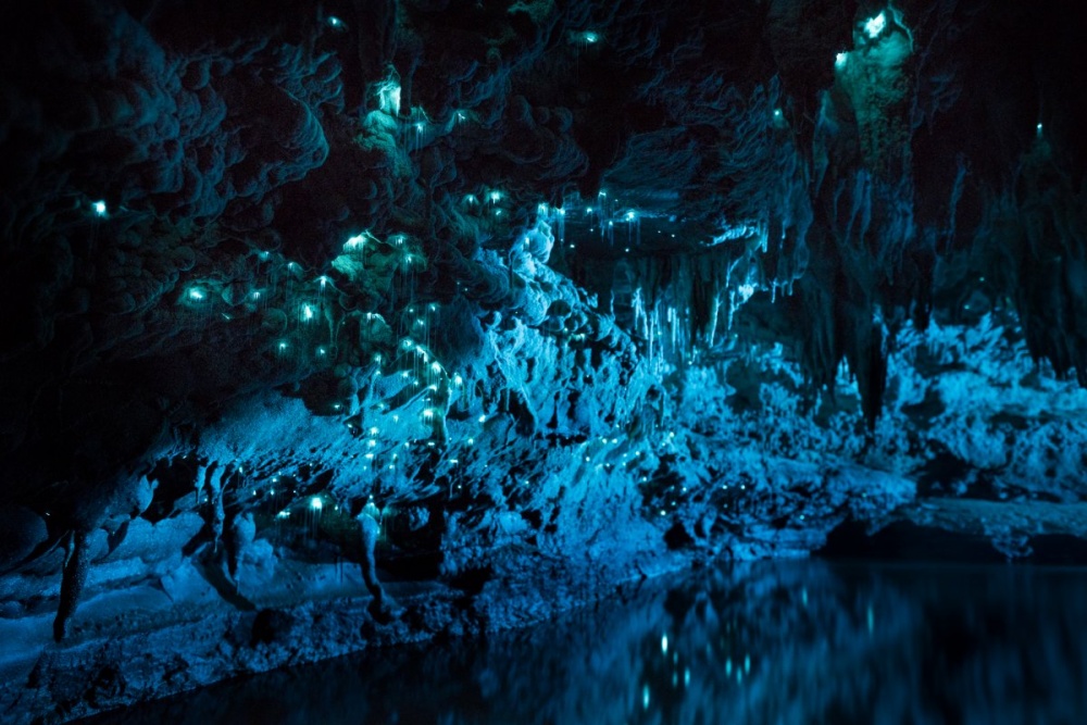 Mysterious Cave in New Zealand 1