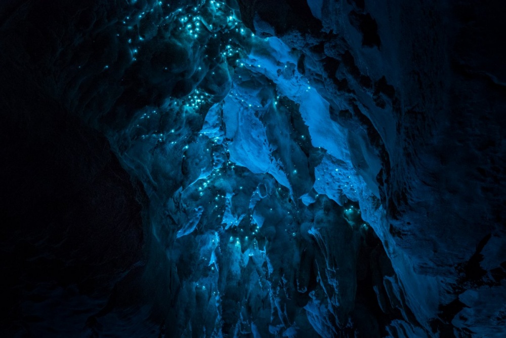 Mysterious Cave in New Zealand 10