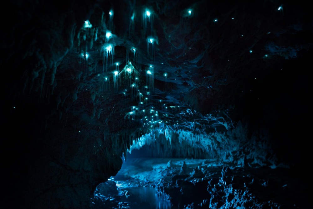 Mysterious Cave in New Zealand 11