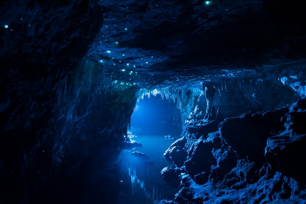 Mysterious Cave in New Zealand 4