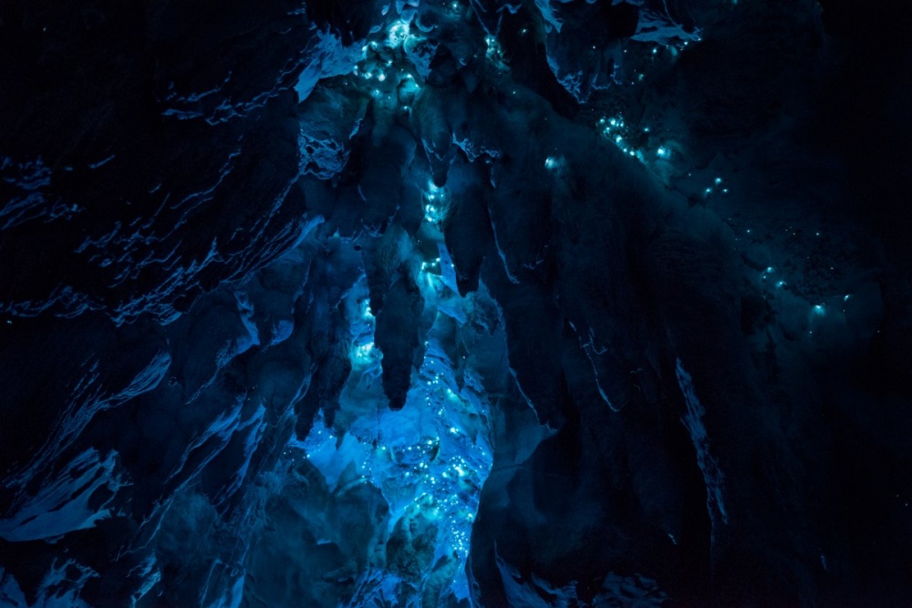 Mysterious Cave in New Zealand 6