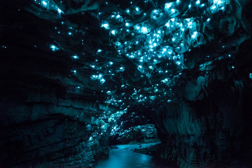 Mysterious Cave in New Zealand 8
