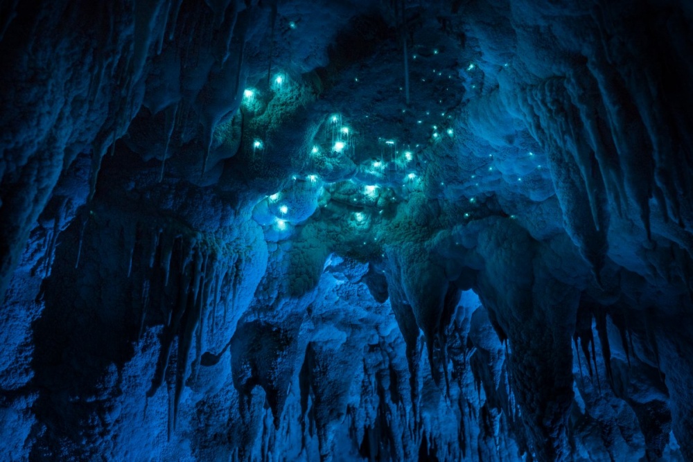 Mysterious Cave in New Zealand 9