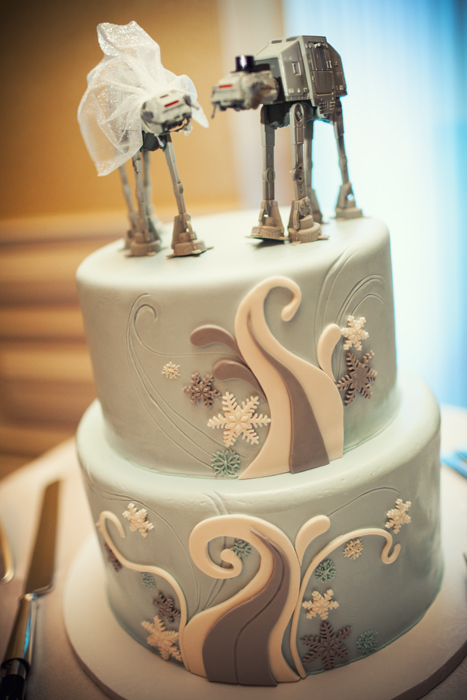 Wedding Cakes for Geeks 9