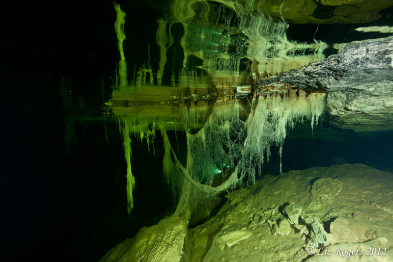 14. Olwolgin Cave, Australia