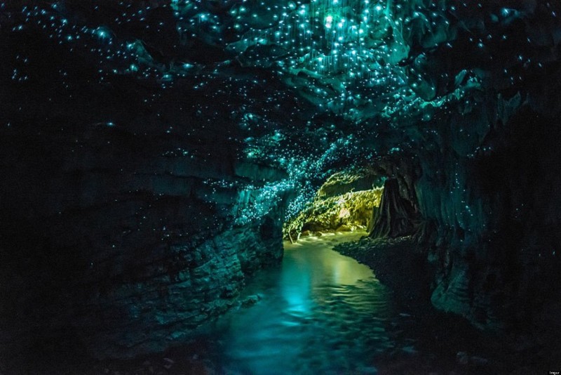 4. Waitomo Glow Worm Cave, New Zealand