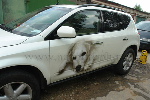 Dog photo on the Nissan Murano