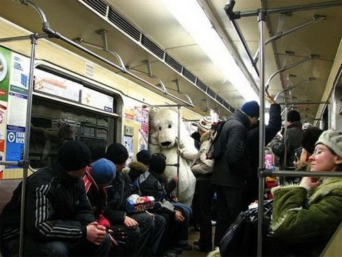 Fake polar bear in Moscow Metro