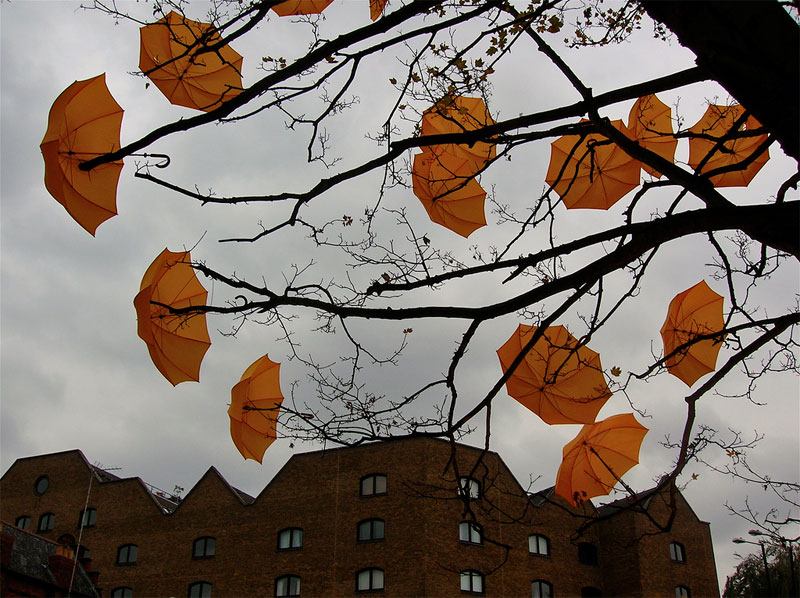 The average London tree is blooming with the bright yellow umbrellas thanks to Sam Spenser. Photo by Jessica Rolland