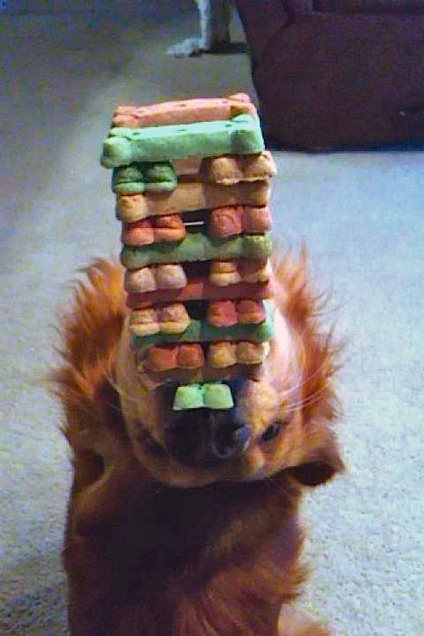 9. Treats balancing brought to the whole new level