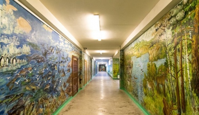 School walls that turned into an art gallery 4