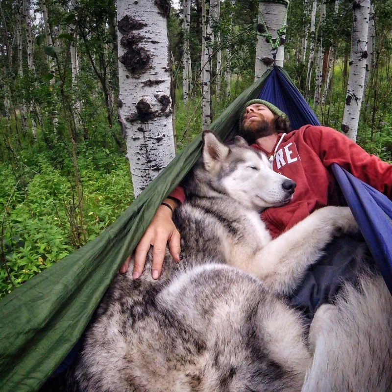 A man travels around the world with his dog 13
