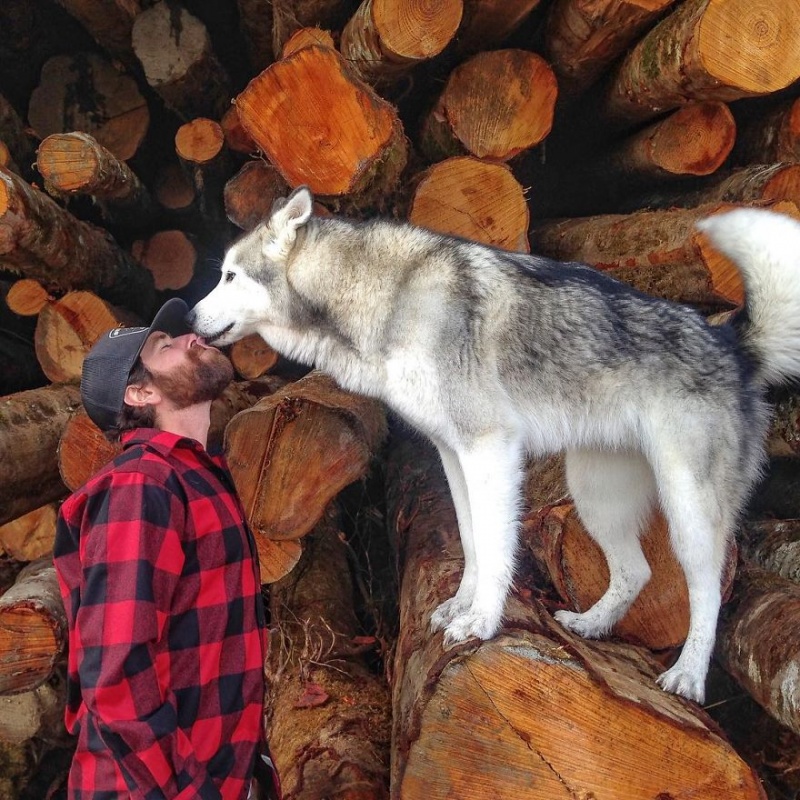 A man travels around the world with his dog 14