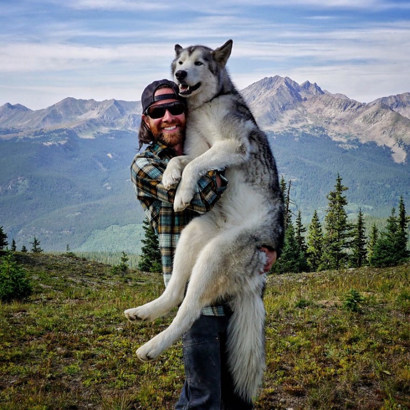 A man travels around the world with his dog 15