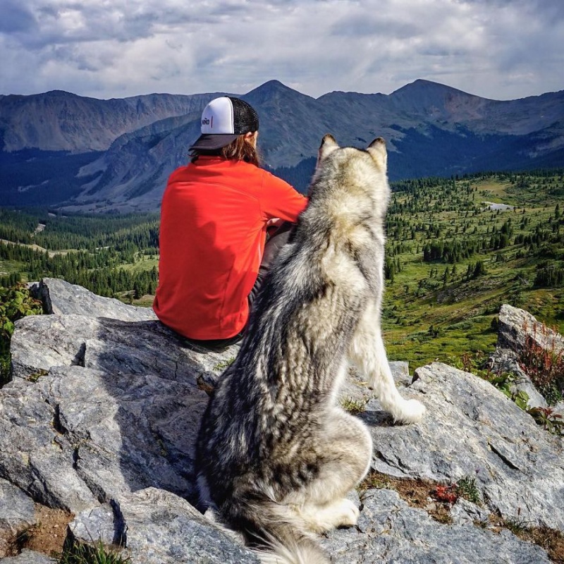 A man travels around the world with his dog 16