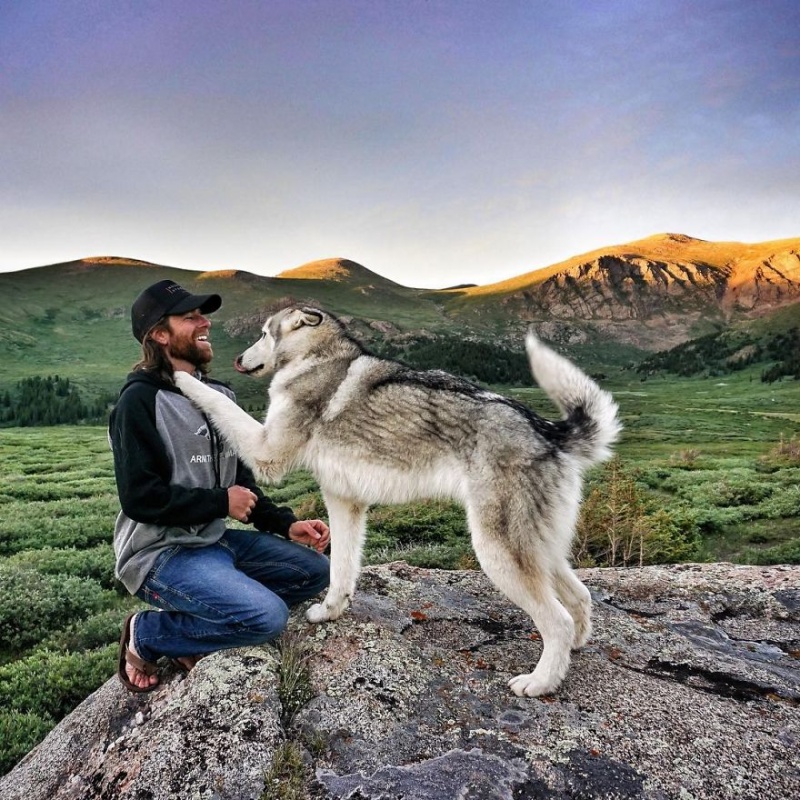 A man travels around the world with his dog 5