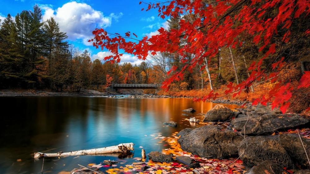 places where autumn is especially beautiful 11