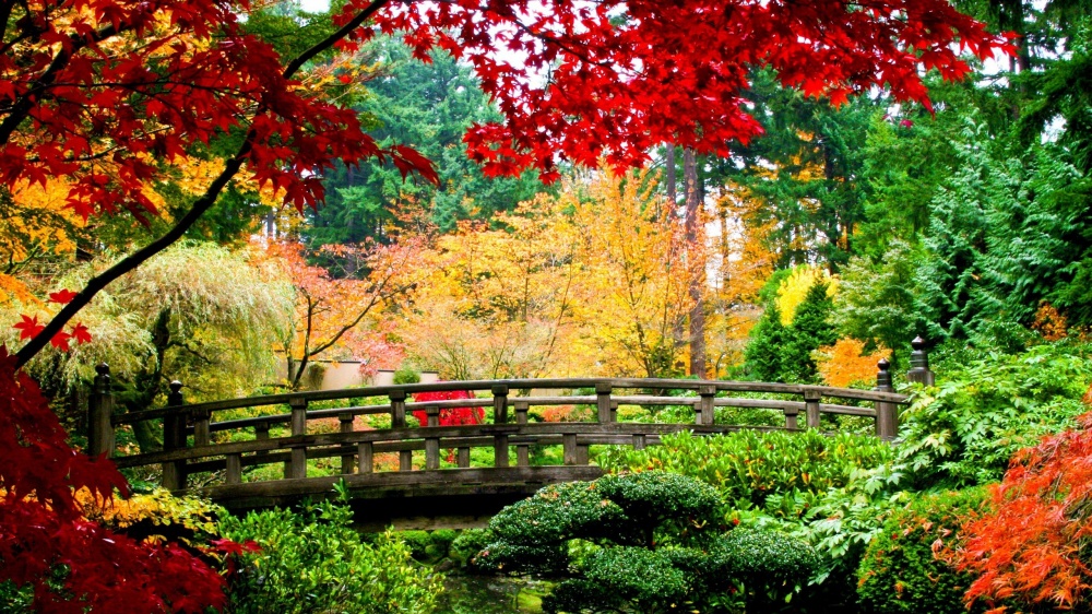 places where autumn is especially beautiful 4