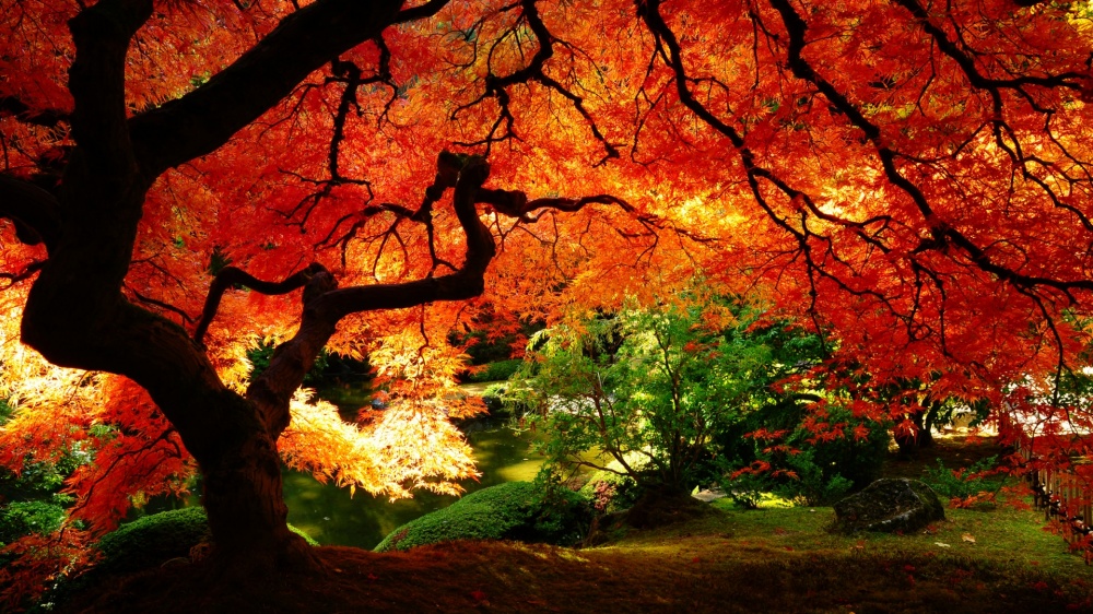 places where autumn is especially beautiful 8